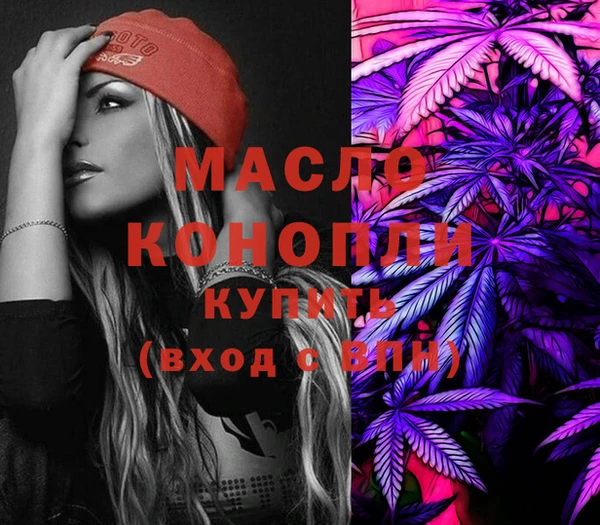молекула духа Богданович