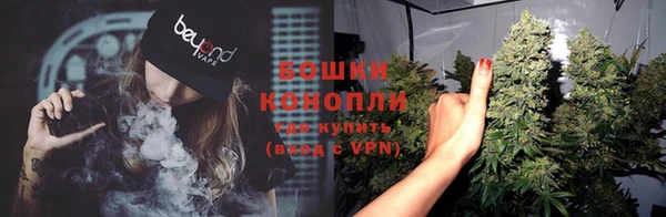 молекула духа Богданович