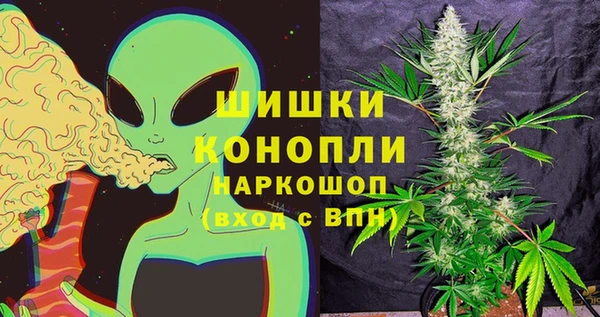 молекула духа Богданович