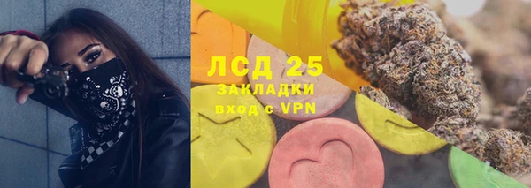 молекула духа Богданович