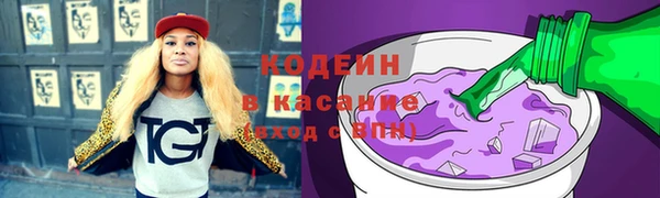 молекула духа Богданович