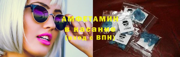 молекула духа Богданович