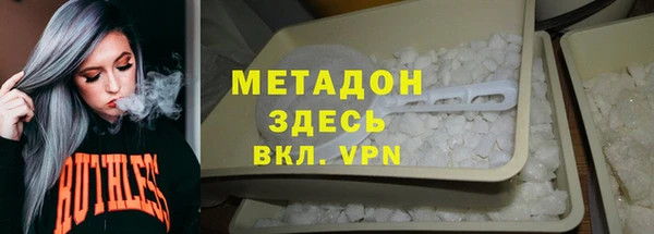 молекула духа Богданович