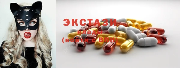 молекула духа Богданович