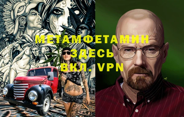 молекула духа Богданович