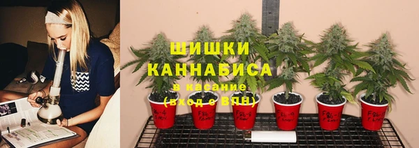 2c-b Богородицк