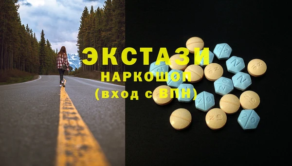 молекула духа Богданович