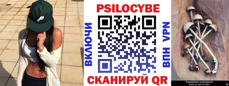 купить   Пионерский  ссылка на мегу ссылки  Псилоцибиновые грибы прущие грибы 