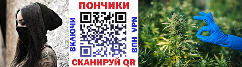 Бошки марихуана VHQ Пионерский